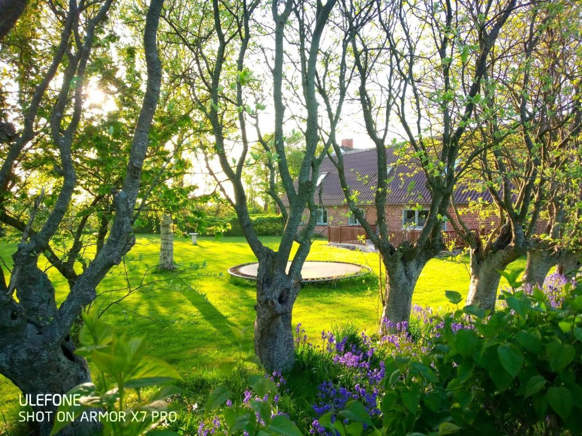 Lilleledgaard Country House Ringkøbing Exterior foto
