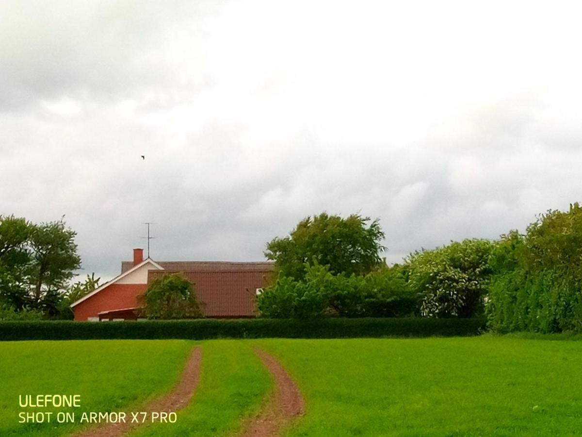 Lilleledgaard Country House Ringkøbing Exterior foto
